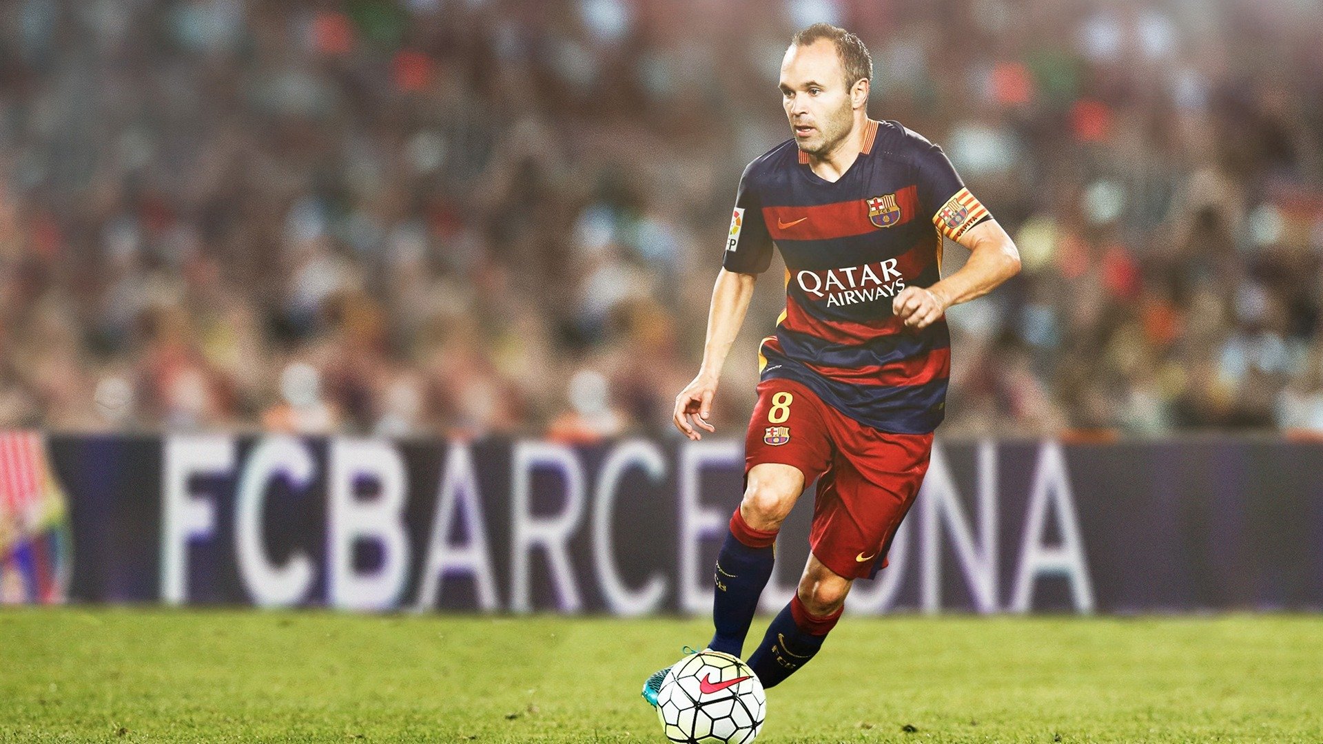 国家马术队与国际专家合作，训练水平提升，国家马术队队员